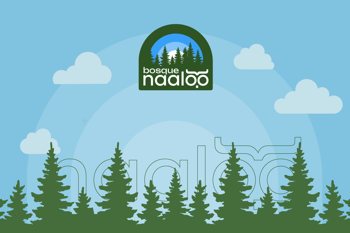 Bosque Naaloo: el fruto de la digitalización