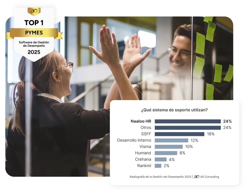 Top 1 Pymes, Gestión de Desempeño