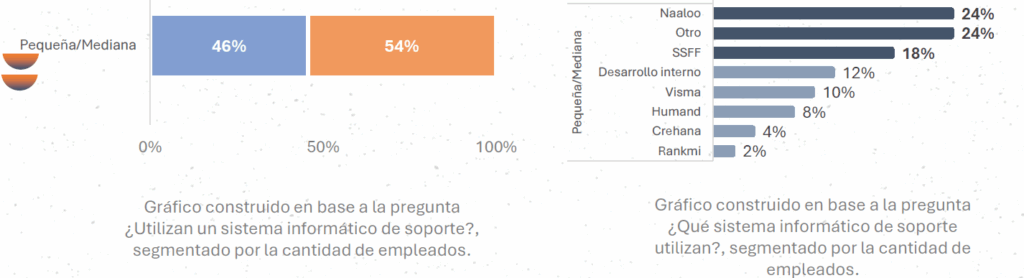 software de evaluación de desempeño en pymes AO Consulting 2025