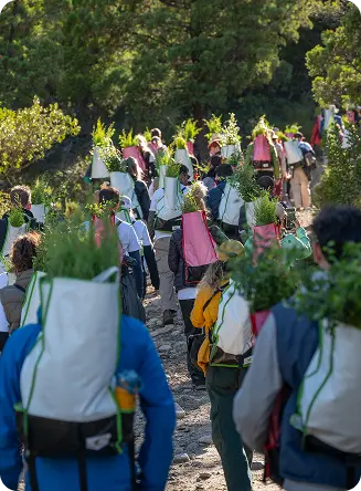 Gente llevando arbolitos mobile