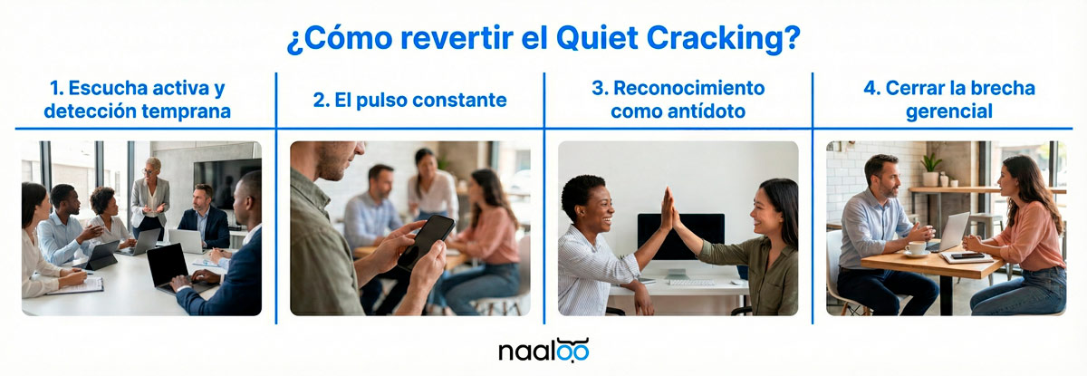 revertir-quiet-creacking-con-naaloo